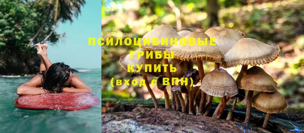 трава Балахна