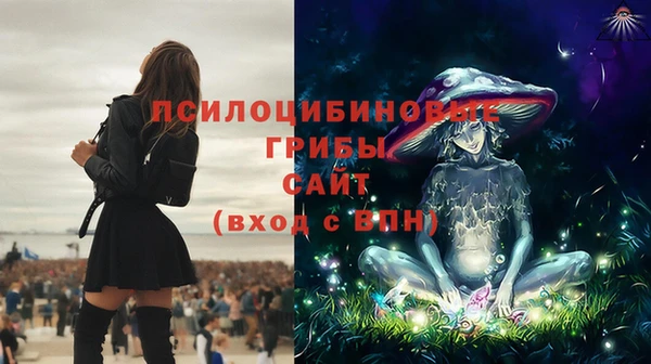 трава Балахна