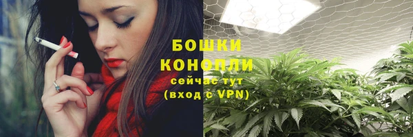 трава Балахна