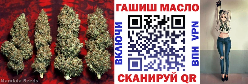 ТГК THC oil  Новоржев 
